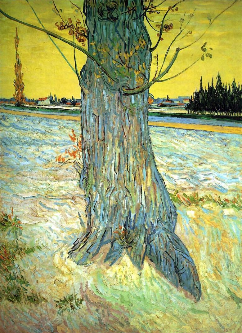 Batang Yew Tua   Vincent Van Gogh