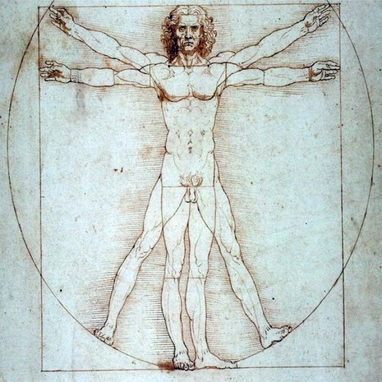 The Beautiful Ferronier   Leonardo Da Vinci